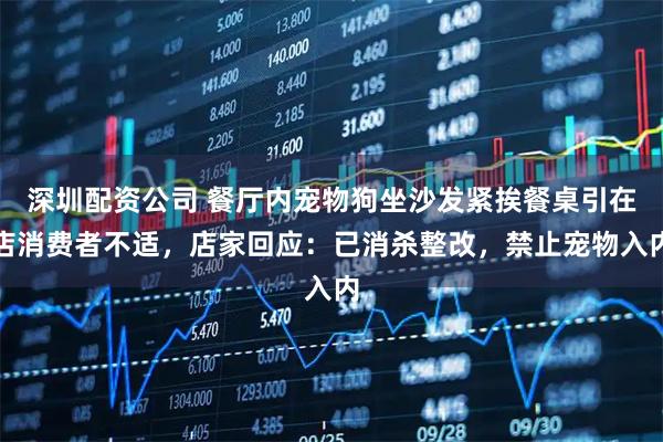 深圳配资公司 餐厅内宠物狗坐沙发紧挨餐桌引在店消费者不适，店家回应：已消杀整改，禁止宠物入内
